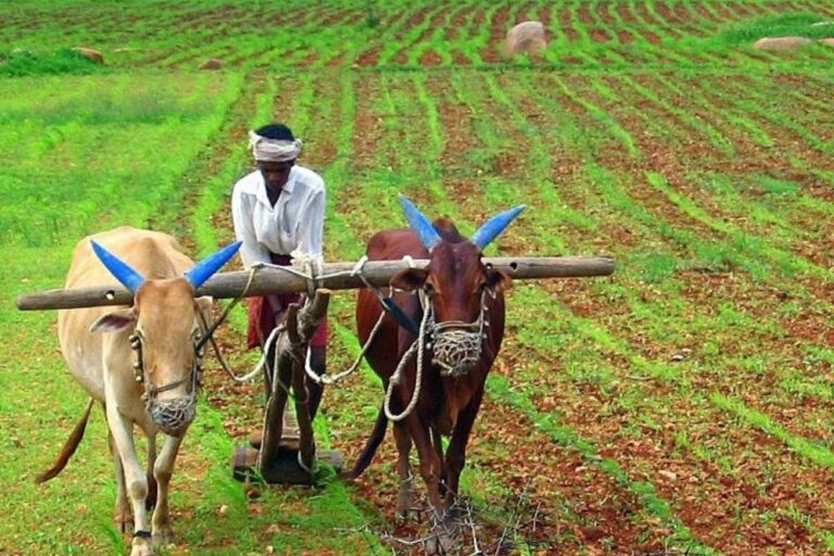 விவசாயிகளுக்கு  நற்செய்தி இதோ