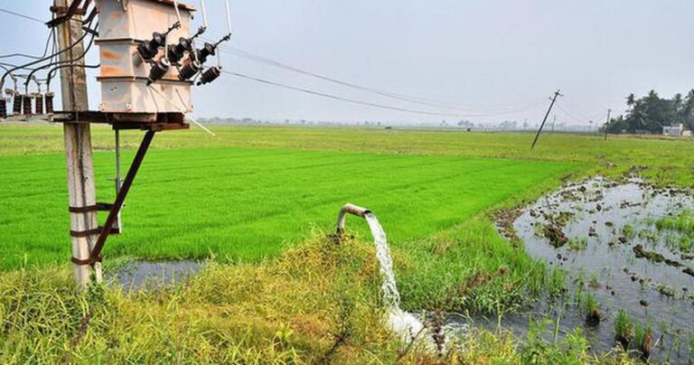 விவசாயத்துக்கு தனி மின்வழித்தடம் அமைப்பு – மின்சார வாரியம் நடவடிக்கை…