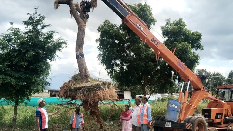 மரங்களை வெட்டாமல் மறுநடவு செய்த இயற்கை ஆர்வலர்களுக்கு பாராட்டு