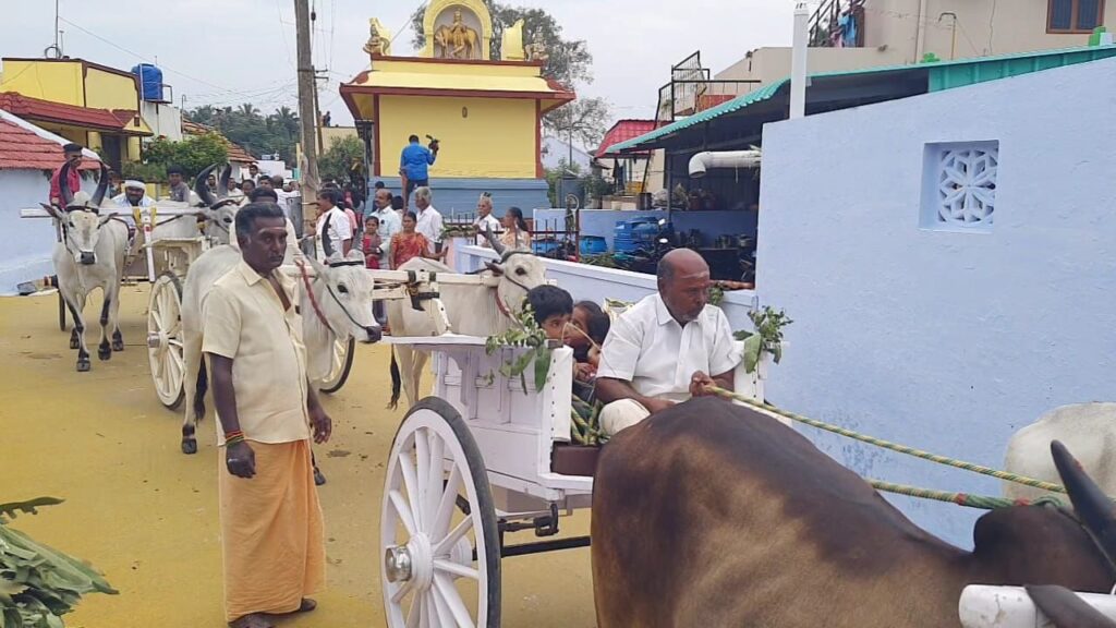 பொள்ளாச்சியில் மாட்டுப் பொங்கல் உற்சாகமாக கொண்டாடப்பட்டது...<br><br>