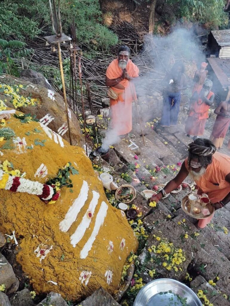 அருள்மிகு வெள்ளியங்கிரி ஆண்டவர் திருக்கோயில் மலைப் பாதை திறப்பு !